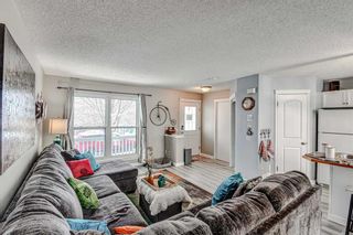 Photo 4: 93 Prestwick Rise SE in Calgary: McKenzie Towne Detached for sale : MLS®# A2123144