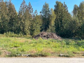 Photo 3: 9046 CEDAR Street in Mission: Mission BC Land for sale : MLS®# R2735255