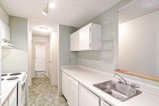 Photo 14: 410 130 25 Avenue SW in Calgary: Mission Apartment for sale : MLS®# A2015508