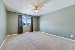 Photo 17: 331 19 Street NE in Calgary: Mayland Heights Detached for sale : MLS®# A2011674