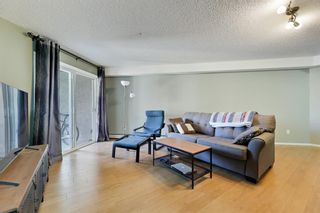 Photo 7: 210 3000 Citadel Meadow Point NW in Calgary: Citadel Apartment for sale : MLS®# A2036406
