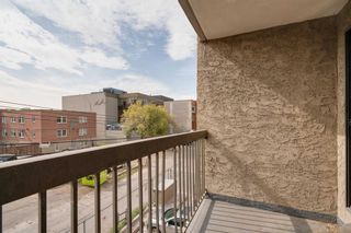 Photo 15: 306 523 15 Avenue SW in Calgary: Beltline Apartment for sale : MLS®# A2121226