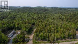 Photo 8: 3748 Route 760 in St. George: Vacant Land for sale : MLS®# NB087551