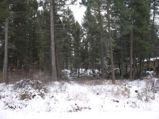 Photo 3: 4981 FALCON DRIVE in Fairmont Hot Springs: Vacant Land for sale : MLS®# 2469200