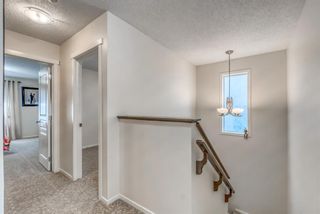 Photo 24: 262 Copperstone Circle SE in Calgary: Copperfield Detached for sale : MLS®# A1136994
