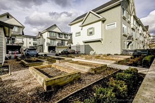 Photo 8: 21 15850 85 Avenue in Surrey: Fleetwood Tynehead Townhouse for sale : MLS®# R2848752