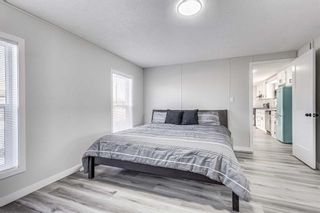 Photo 12: 291 6220 17 Avenue SE in Calgary: Red Carpet Mobile for sale : MLS®# A2119335