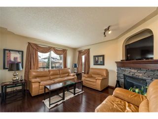 Photo 9: 100 SPRINGMERE Grove: Chestermere House for sale : MLS®# C4085468