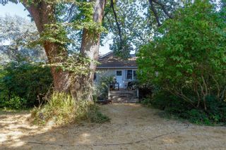 Photo 24: 1815 Ferndale Rd in Saanich: SE Gordon Head House for sale (Saanich East)  : MLS®# 913746