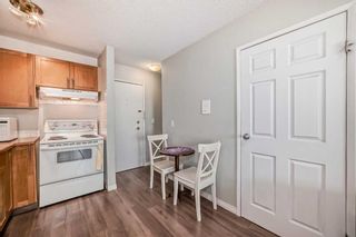 Photo 5: 203 2130 17 Street SW in Calgary: Bankview Apartment for sale : MLS®# A2133090