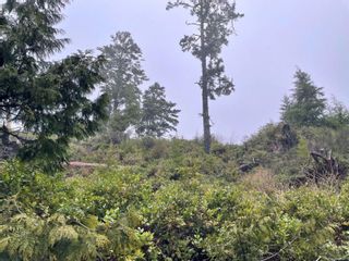 Photo 11: LOT 12 Marine Dr in Ucluelet: PA Ucluelet Land for sale (Port Alberni)  : MLS®# 916951