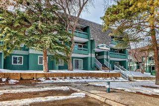 Photo 3: 5310 315 Southampton Drive SW in Calgary: Southwood Apartment for sale : MLS®# A2118371