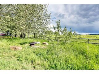 Photo 11: 434019 192 Street: Rural Foothills M.D. House for sale : MLS®# C4073369