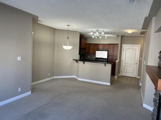 Photo 18: 442 10 Discovery Ridge Close SW in Calgary: Discovery Ridge Apartment for sale : MLS®# A2008823