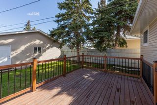 Photo 28: 69 Dovercliffe Close SE in Calgary: Dover Detached for sale : MLS®# A2129385