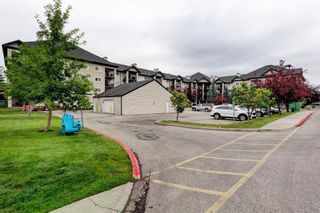Photo 30: 1307 4975 130 Avenue SE in Calgary: McKenzie Towne Apartment for sale : MLS®# A1242456