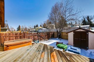 Photo 2: 86 Bearberry Crescent NW in Calgary: Beddington Heights Semi Detached (Half Duplex) for sale : MLS®# A2036171