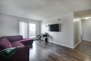 Photo 13: 427 550 Westwood Drive SW in Calgary: Westgate Apartment for sale : MLS®# A2050573