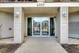Photo 13: 4221 4975 130 Avenue SE in Calgary: McKenzie Towne Apartment for sale : MLS®# A1080601