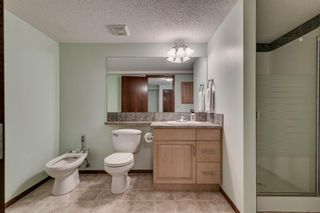 Photo 36: 118 Everwillow Close SW in Calgary: Evergreen Detached for sale : MLS®# A2053821