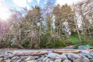 Photo 2: 1198 Front St in Ucluelet: PA Salmon Beach Land for sale (Port Alberni)  : MLS®# 899666