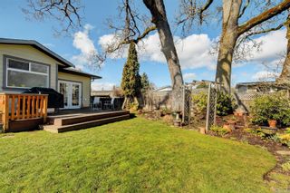 Photo 19: 4135 Rosedale Ave in Saanich: SW Strawberry Vale House for sale (Saanich West)  : MLS®# 924382