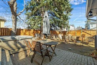 Photo 35: 316 9 Avenue NE in Calgary: Crescent Heights Detached for sale : MLS®# A2122290