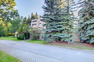 Photo 37: 10 301 Village Mews SW in Calgary: Patterson Apartment for sale : MLS®# A1246152
