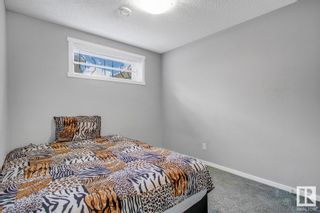 Photo 42: 2603 COUGHLAN Road SW in Edmonton: Zone 55 House for sale : MLS®# E4300732