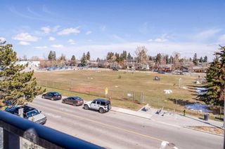 Photo 25: 301 2702 17 Avenue SW in Calgary: Shaganappi Apartment for sale : MLS®# A2124261