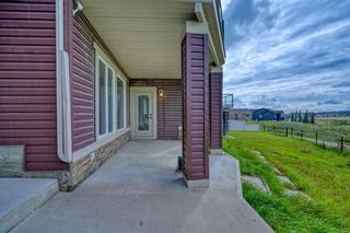 Photo 45: 42 Nolanshire Green NW in Calgary: Nolan Hill Detached for sale : MLS®# A1181401
