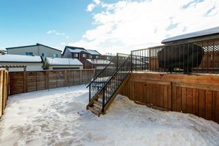 Photo 29: 20 Walden Mount SE in Calgary: Walden Detached for sale : MLS®# A2011825