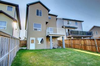 Photo 48: 118 Kincora Glen Mews NW in Calgary: Kincora Detached for sale : MLS®# A1246557