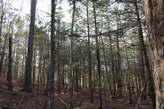 Photo 23: Lot 1 Power Lot Road in Clementsport: Annapolis County Vacant Land for sale (Annapolis Valley)  : MLS®# 202227444