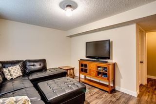 Photo 22: 216 Copperpond Road SE in Calgary: Copperfield Detached for sale : MLS®# A1034323