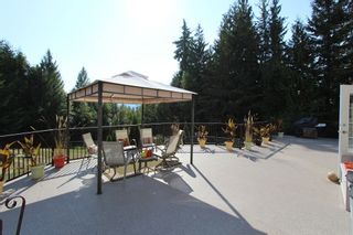 Photo 33: 7596 Mountain Drive in Anglemont: North Shuswap House for sale (Shuswap)  : MLS®# 10142790