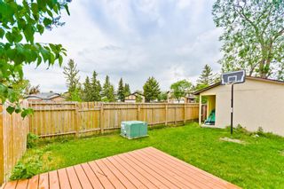 Photo 27: 55 Castlebrook Road NE in Calgary: Castleridge Detached for sale : MLS®# A1232262