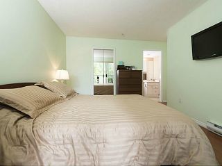 Photo 9: # 213 2551 PARKVIEW LN in Port Coquitlam: Central Pt Coquitlam Condo for sale : MLS®# V1012926