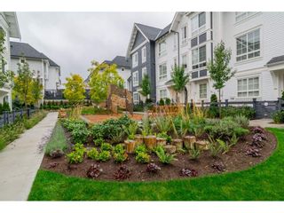 Photo 20: 15 8476 207A STREET in Langley: Willoughby Heights Townhouse for sale : MLS®# R2114834