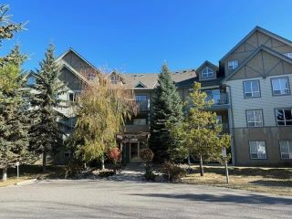Photo 1: 314 - 4769 FORESTERS LANDING ROAD in Radium Hot Springs: Condo for sale : MLS®# 2474564