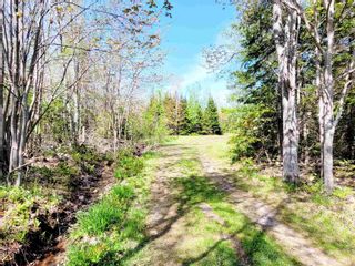 Photo 40: 529 Frasers Mountain Branch Road in Woodburn: 108-Rural Pictou County Residential for sale (Northern Region)  : MLS®# 202310644