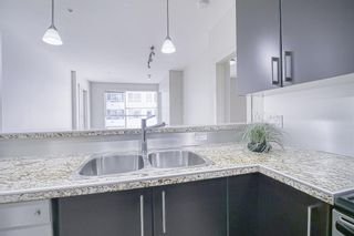 Photo 7: 309 880 Centre Avenue NE in Calgary: Bridgeland/Riverside Apartment for sale : MLS®# A2043459