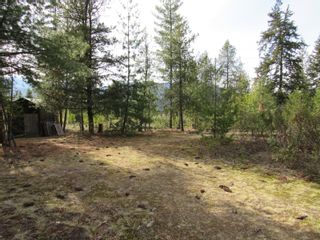 Photo 44: 925 COLUMBIA ROAD in Castlegar: House for sale : MLS®# 2476320