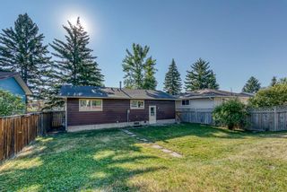 Photo 28: 236 QUEEN CHARLOTTE Way SE in Calgary: Queensland Detached for sale : MLS®# A1025137