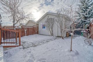 Photo 35: 239 Bridlewood Avenue SW in Calgary: Bridlewood Detached for sale : MLS®# A1181898