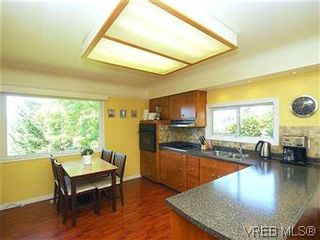 Photo 7: 518 Broadway St in VICTORIA: SW Glanford House for sale (Saanich West)  : MLS®# 583235