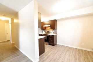 Photo 12: 22 366 94 Avenue SE in Calgary: Acadia Apartment for sale : MLS®# A2121640