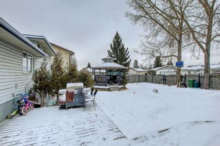Photo 42: 6303 Rundlehorn Drive NE in Calgary: Pineridge Detached for sale : MLS®# A1181029