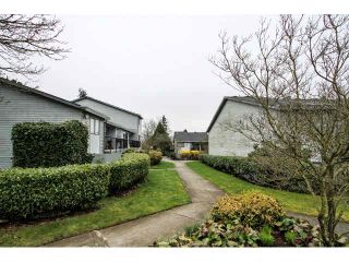 Photo 1: 12 7549 HUMPHRIES Court in Burnaby: Edmonds BE Townhouse for sale in "SOUTHWOOD COURT" (Burnaby East)  : MLS®# V1108085
