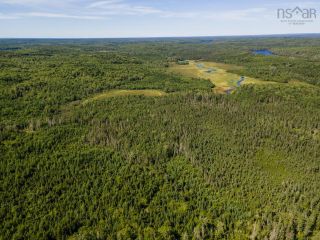 Photo 8: Lot 3 Lake Annis Road in Lake Annis: County Hwy 340 Vacant Land for sale (Yarmouth)  : MLS®# 202219742